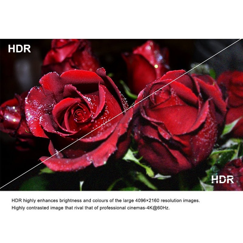 FURUI 8K Fiber HDMI Cable 33ft, Fiber Optic HDMI 2.1 Cable 8K@60Hz,4K@120Hz, 48Gbps, Dynamic HDR, eARC Compatible with RTX 3080/3090 Xbox Series X PS5 Denon AV Receiver LG Samsung Sony TV - Image 2